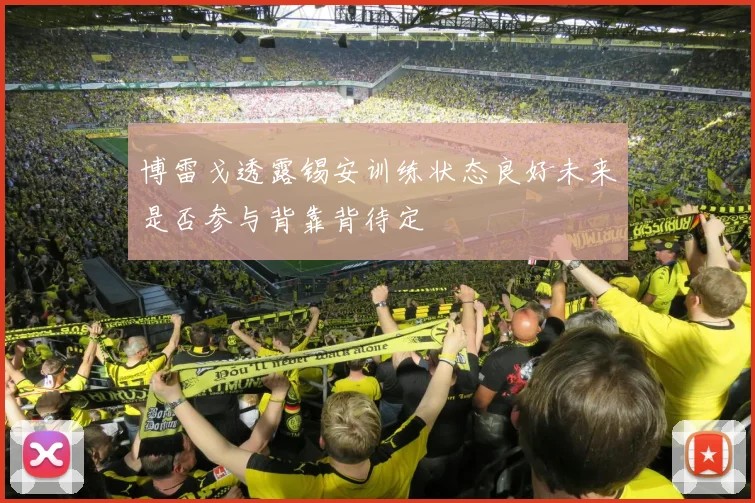 博雷戈透露锡安训练状态良好未来是否参与背靠背待定