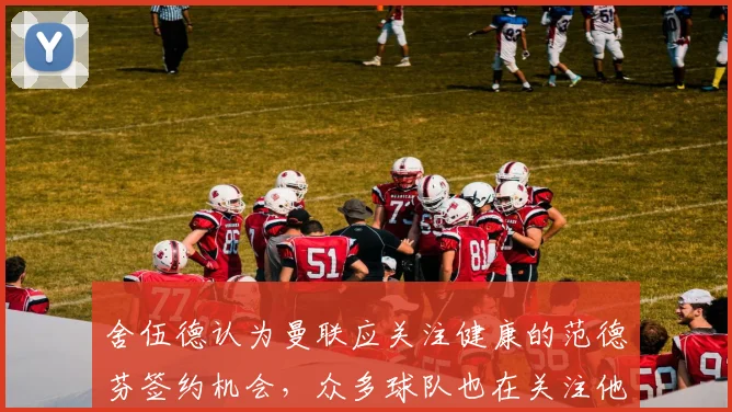 舍伍德认为曼联应关注健康的范德芬签约机会，众多球队也在关注他