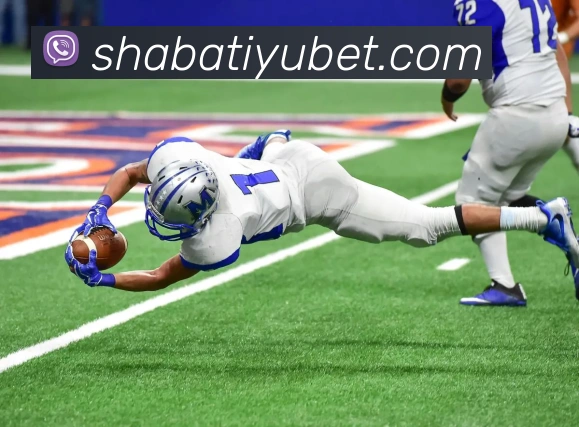 沙巴体育平台生态图